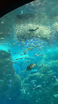 新江ノ島水族館に投稿された画像（2026/4/5）