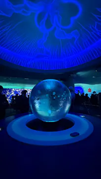 新江ノ島水族館に投稿された画像（2026/4/5）