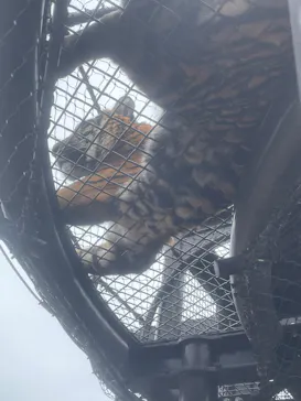 名古屋市東山動植物園に投稿された画像（2026/4/5）