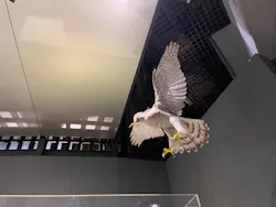 国立科学博物館に投稿された画像（2026/4/5）