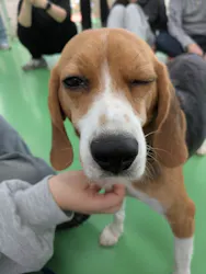 つくばわんわんランドに投稿された画像（2026/4/5）