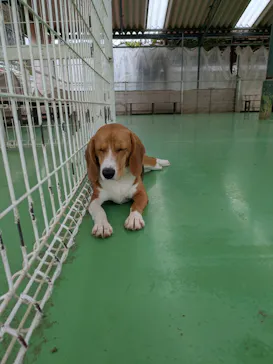 つくばわんわんランドに投稿された画像（2026/4/5）