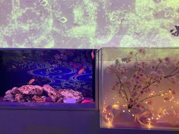 マクセル アクアパーク品川に投稿された画像（2026/4/5）