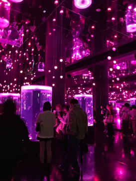 マクセル アクアパーク品川に投稿された画像（2026/4/5）