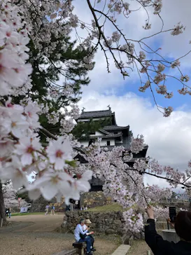 松江城に投稿された画像（2026/4/5）