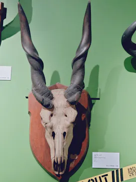特別展「超危険生物展　科学で挑む生き物の本気」に投稿された画像（2026/4/5）