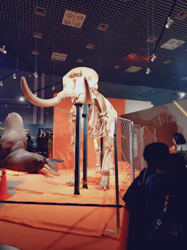特別展「超危険生物展　科学で挑む生き物の本気」に投稿された画像（2026/4/5）
