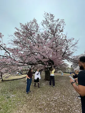 新宿御苑に投稿された画像（2026/4/5）