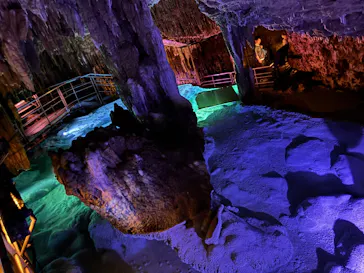 おきなわワールドに投稿された画像（2026/4/5）