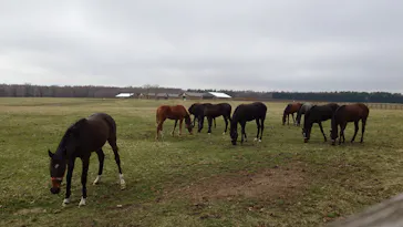 ノーザンホースパークに投稿された画像（2026/4/5）