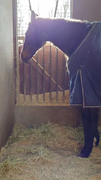 ノーザンホースパークに投稿された画像（2026/4/5）