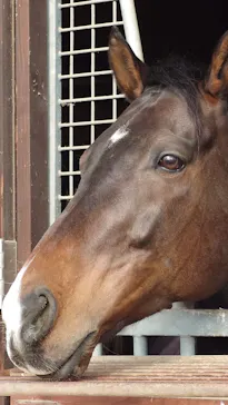 ノーザンホースパークに投稿された画像（2026/4/5）