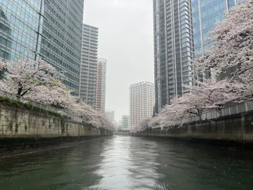 東京ウォータウェイズに投稿された画像（2026/4/5）