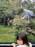 恩賜上野動物園に投稿された画像（2026/4/5）