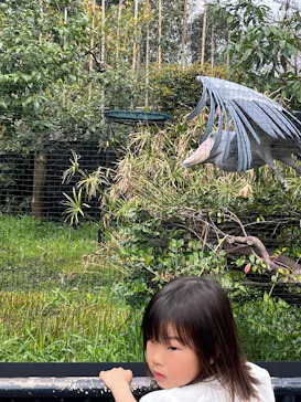恩賜上野動物園に投稿された画像（2026/4/5）