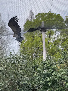 恩賜上野動物園に投稿された画像（2026/4/5）