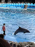 名古屋港水族館に投稿された画像（2026/4/5）