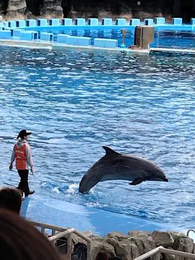 名古屋港水族館に投稿された画像（2026/4/5）