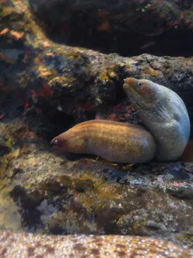 名古屋港水族館に投稿された画像（2026/4/5）