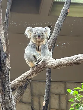 名古屋市東山動植物園に投稿された画像（2026/4/5）