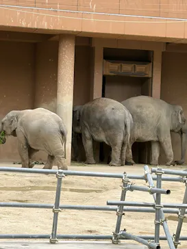 名古屋市東山動植物園に投稿された画像（2026/4/5）