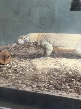 名古屋市東山動植物園に投稿された画像（2026/4/5）