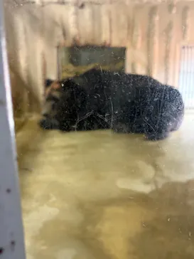 名古屋市東山動植物園に投稿された画像（2026/4/5）