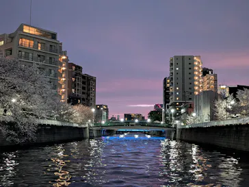 東京ウォータウェイズに投稿された画像（2026/4/5）