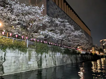 東京ウォータウェイズに投稿された画像（2026/4/5）