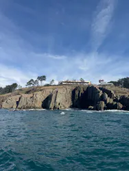 東尋坊観光遊覧船株式会社に投稿された画像（2026/4/5）