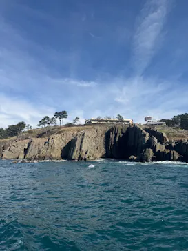 東尋坊観光遊覧船株式会社に投稿された画像（2026/4/5）