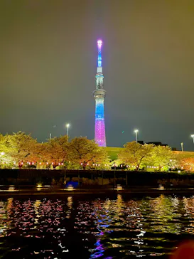 船宿 釣新に投稿された画像（2026/4/5）