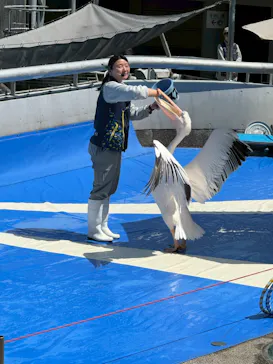 大分マリーンパレス水族館 「うみたまご」に投稿された画像（2026/4/5）