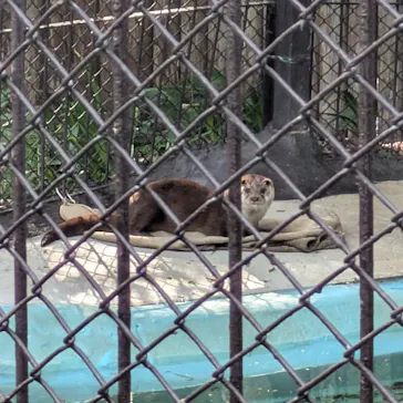 恩賜上野動物園に投稿された画像（2026/4/5）
