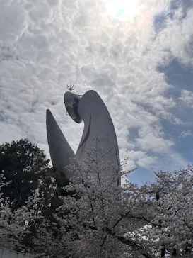 万博記念公園に投稿された画像（2026/4/5）