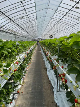 たにい農園に投稿された画像（2026/4/5）