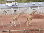 多摩動物公園に投稿された画像（2026/4/5）