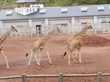多摩動物公園に投稿された画像（2026/4/5）