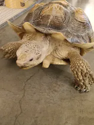 Moff アニマル カフェ イーアス 高尾店に投稿された画像（2026/4/5）