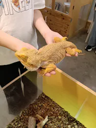 Moff アニマル カフェ イーアス 高尾店に投稿された画像（2026/4/5）