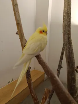 Moff アニマル カフェ イーアス 高尾店に投稿された画像（2026/4/5）