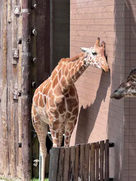 長崎バイオパークに投稿された画像（2026/4/5）