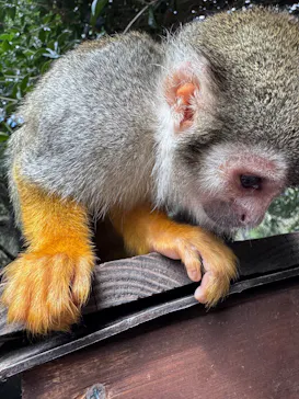 長崎バイオパークに投稿された画像（2026/4/5）