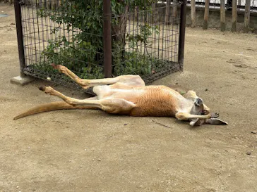 名古屋市東山動植物園に投稿された画像（2026/4/5）