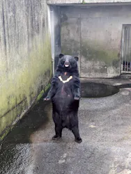 阿蘇カドリー・ドミニオンに投稿された画像（2026/4/5）