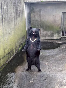 阿蘇カドリー・ドミニオンに投稿された画像（2026/4/5）