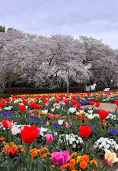 東武動物公園に投稿された画像（2026/4/5）