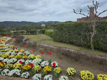 志摩スペイン村パルケエスパーニャに投稿された画像（2026/4/5）