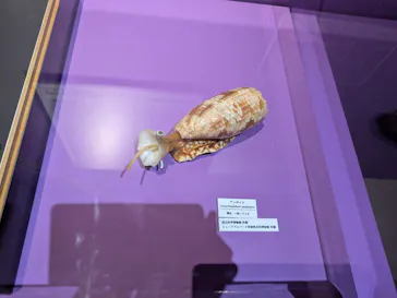 特別展「超危険生物展　科学で挑む生き物の本気」に投稿された画像（2026/4/5）