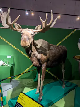 特別展「超危険生物展　科学で挑む生き物の本気」に投稿された画像（2026/4/5）